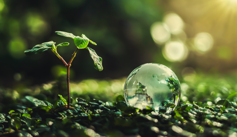 Kaip klimato kaitos iššūkius sprendžia VILNIUS TECH mokslininkai? (II dalis)
